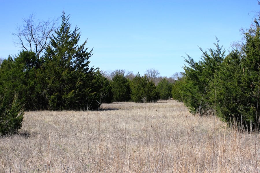 Montgomery Ranch Tract 9 photo 8