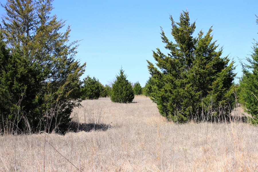Montgomery Ranch Tract 9 photo 9