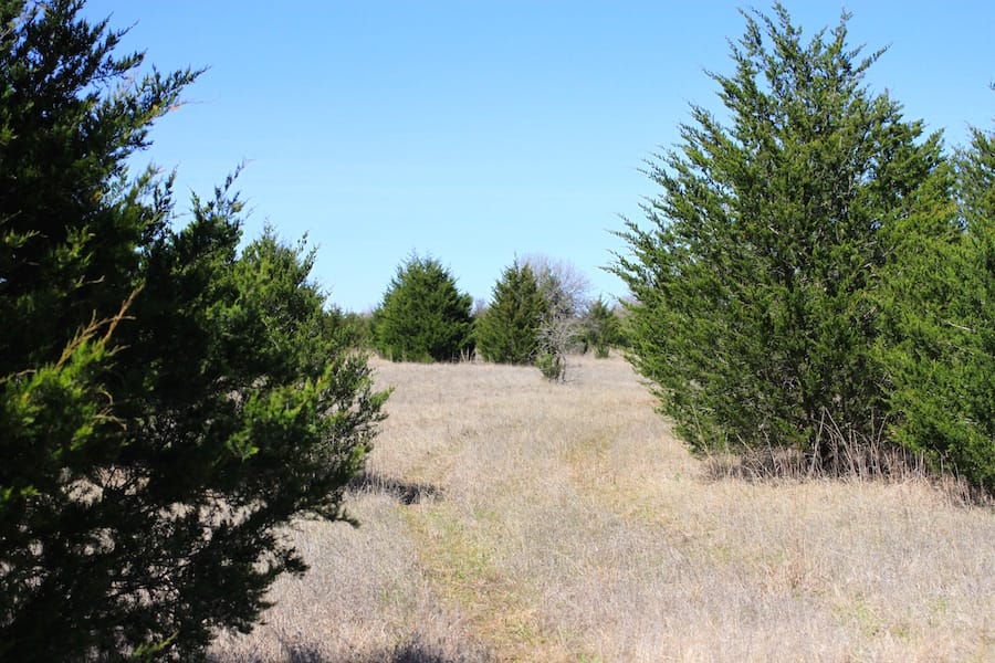 Montgomery Ranch Tract 9 photo 10
