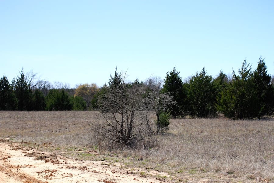 Montgomery Ranch Tract 9 photo 11