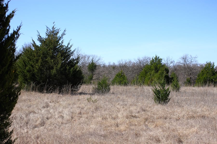 Montgomery Ranch Tract 9 photo 12