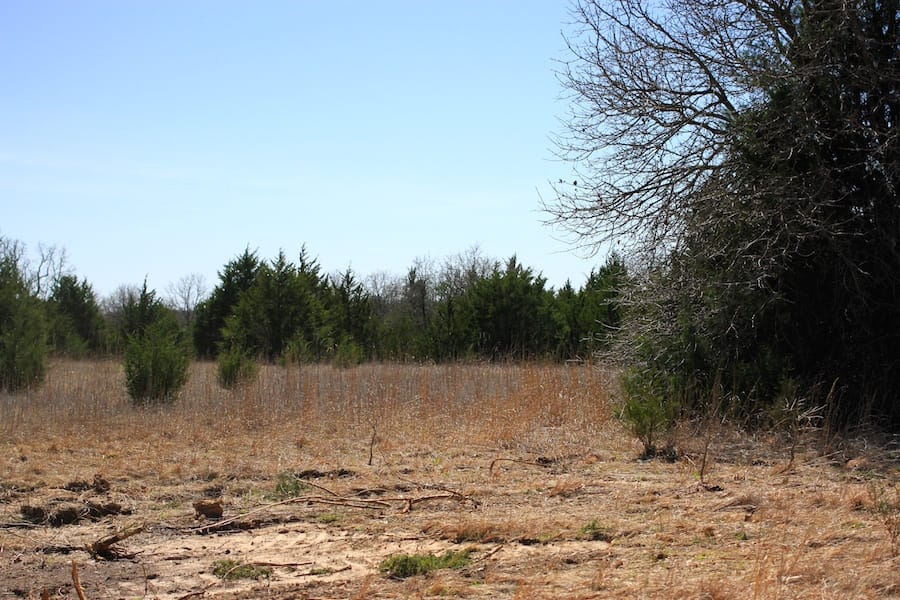 Montgomery Ranch Tract 9 photo 13