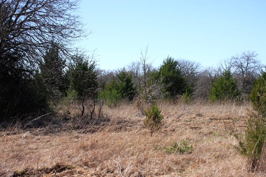 Montgomery Ranch Tract 9 photo 14