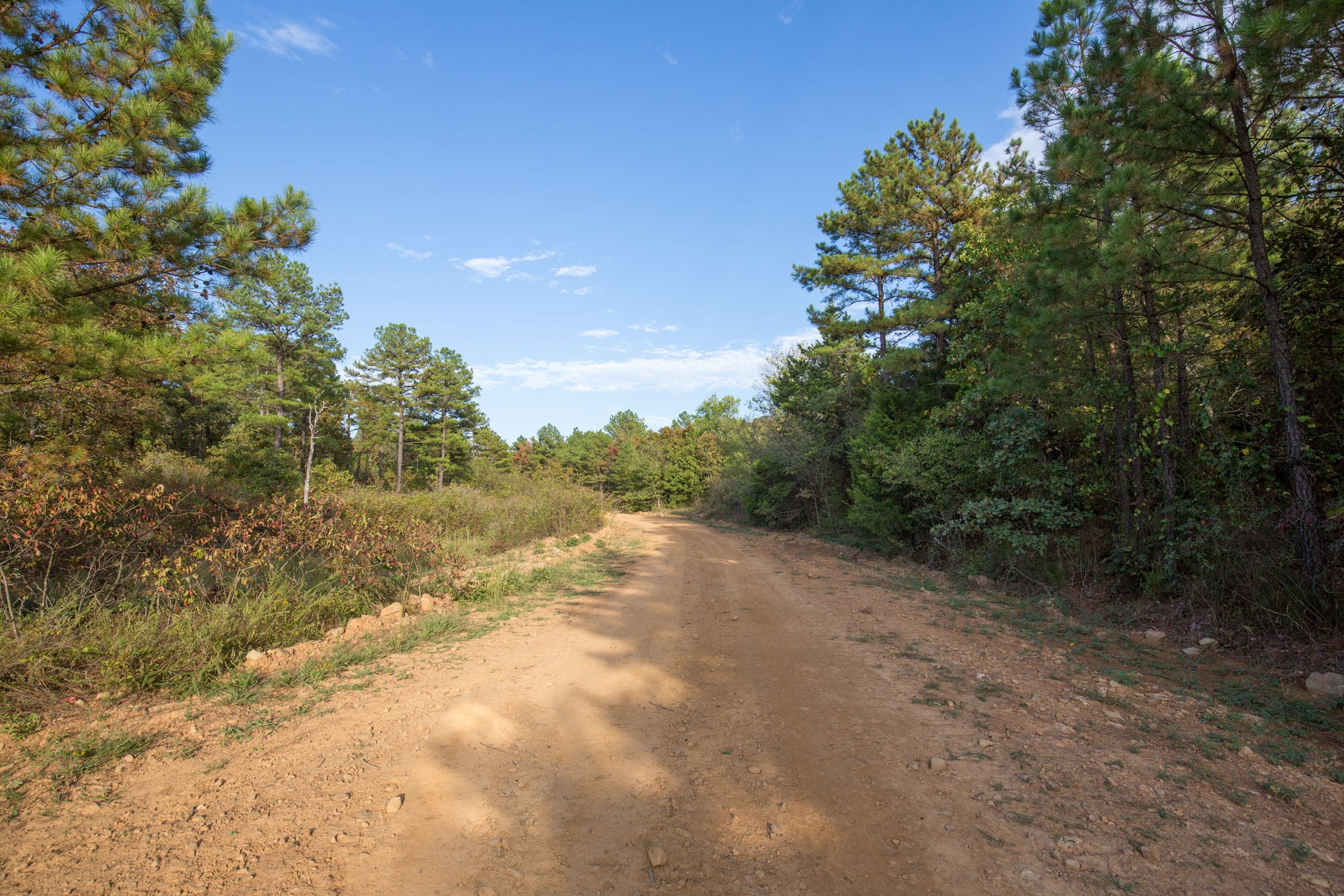 Stone Bridge Phase I Tract 43 photo 8
