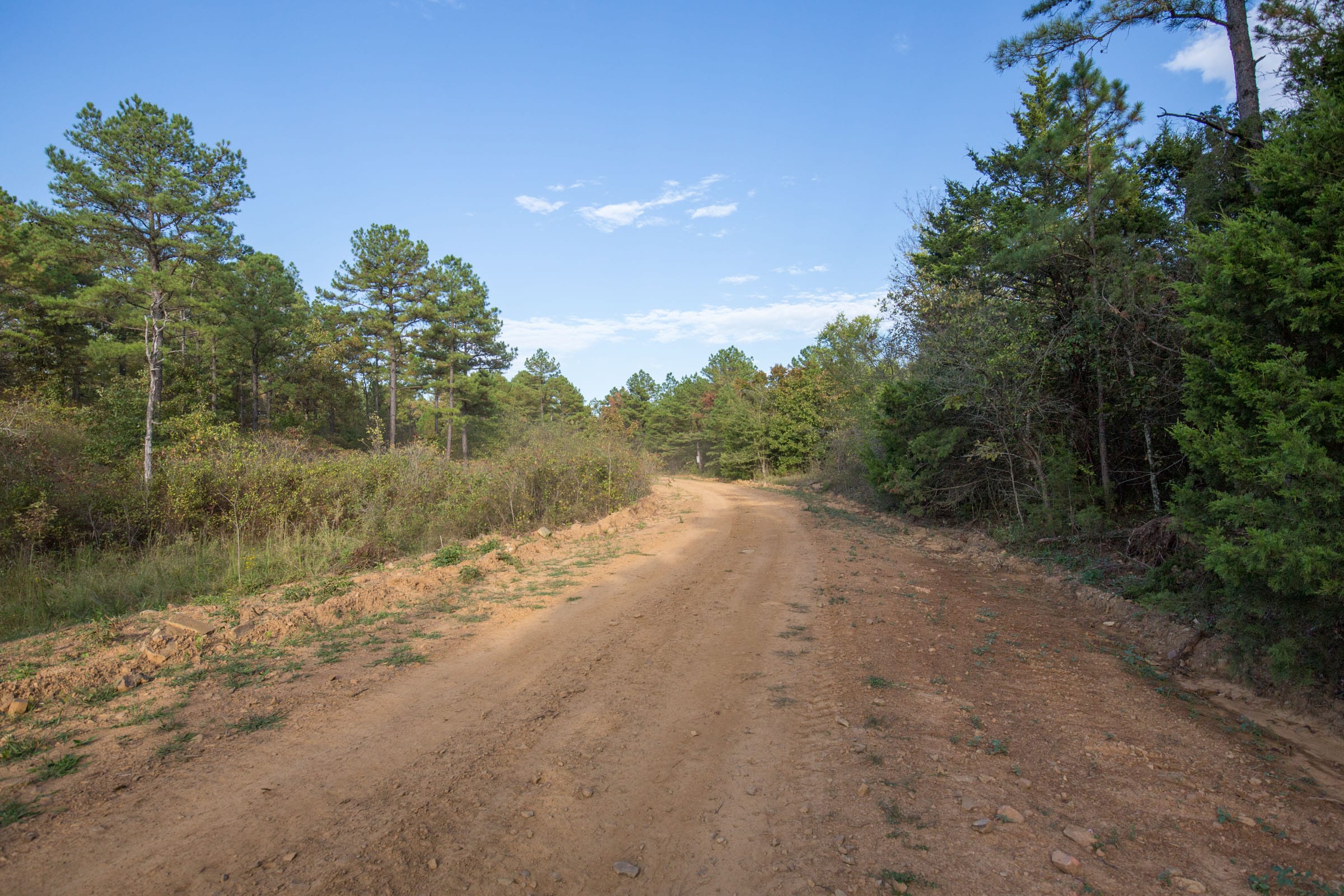 Stone Bridge Phase I Tract 43 photo 9