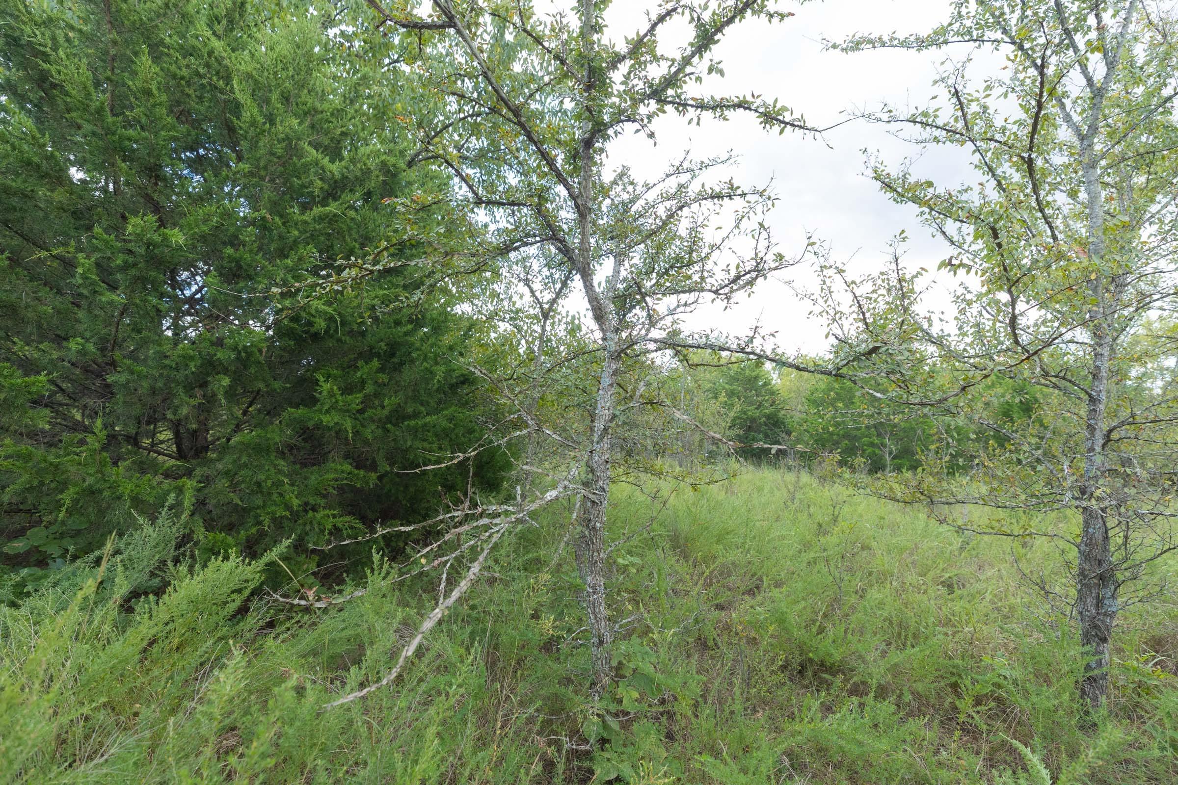 Reserves At Cattail Cove Phase II Tract 97 photo 15
