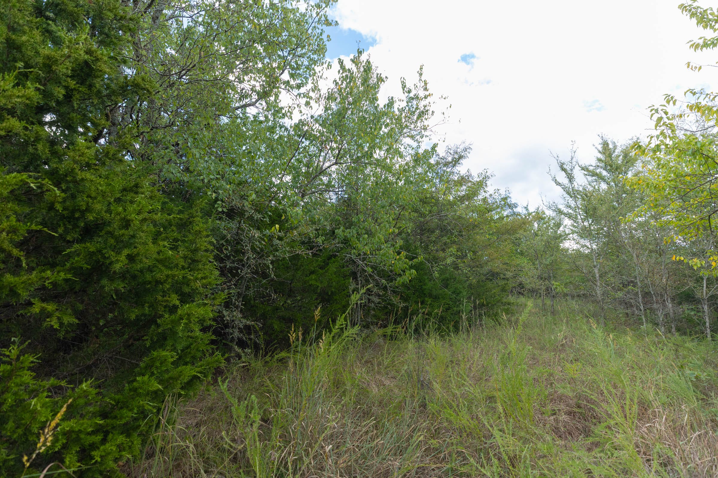 Reserves At Cattail Cove Phase II Tract 97 photo 13