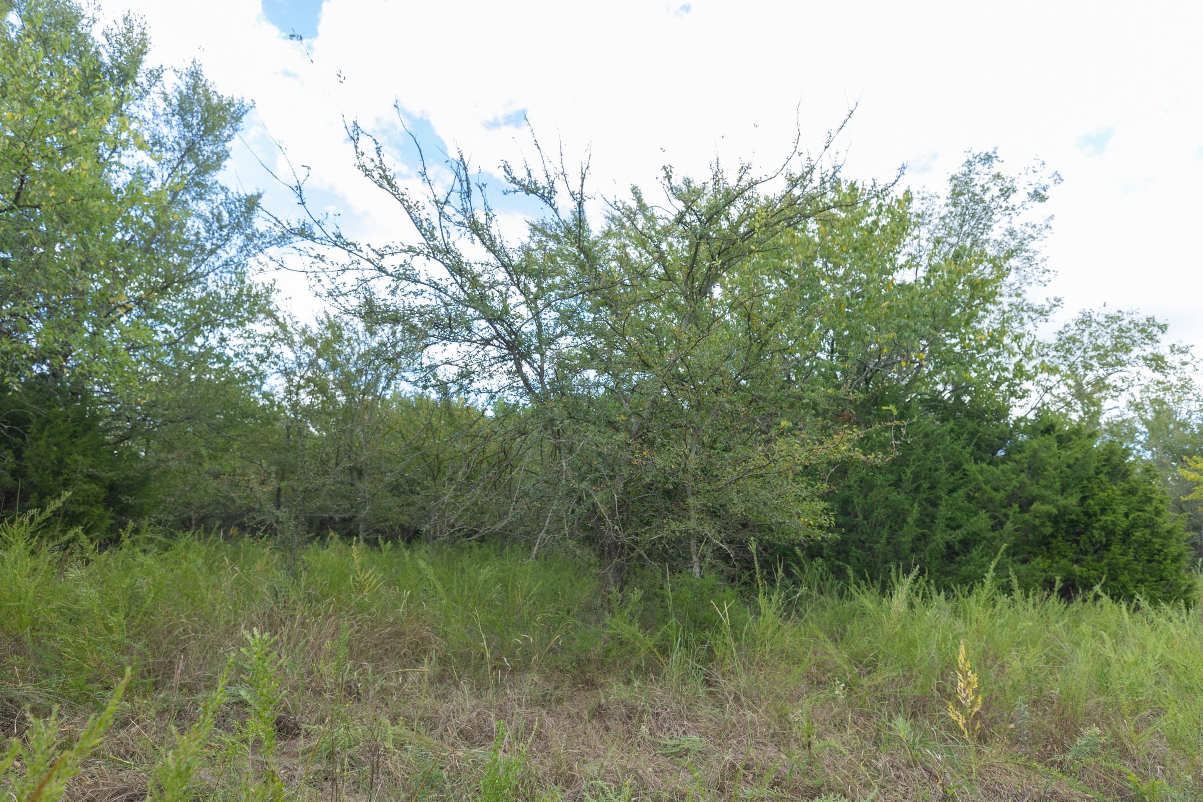 Reserves At Cattail Cove Phase II Tract 97 photo 12