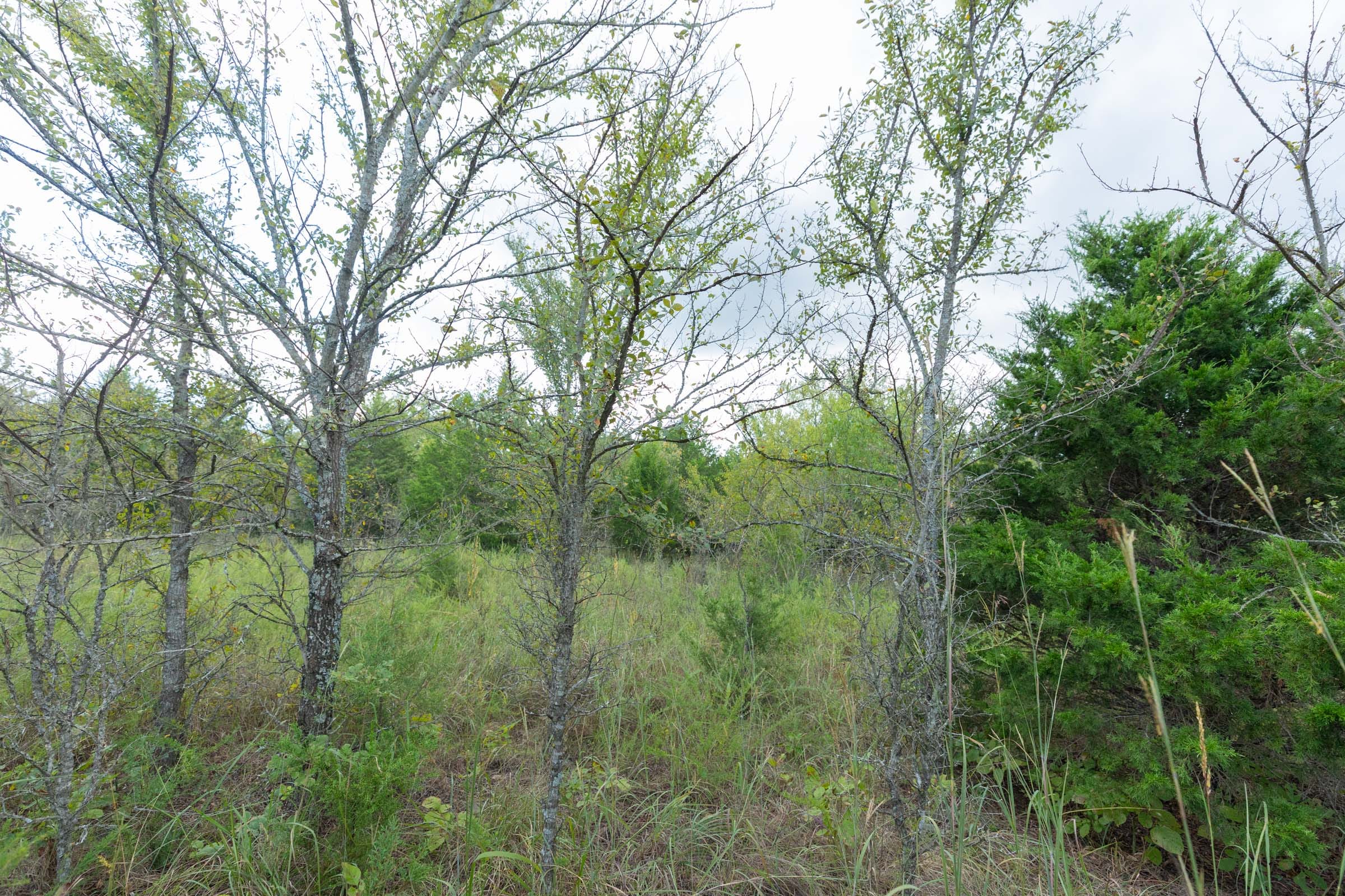 Reserves At Cattail Cove Phase II Tract 97 photo 11