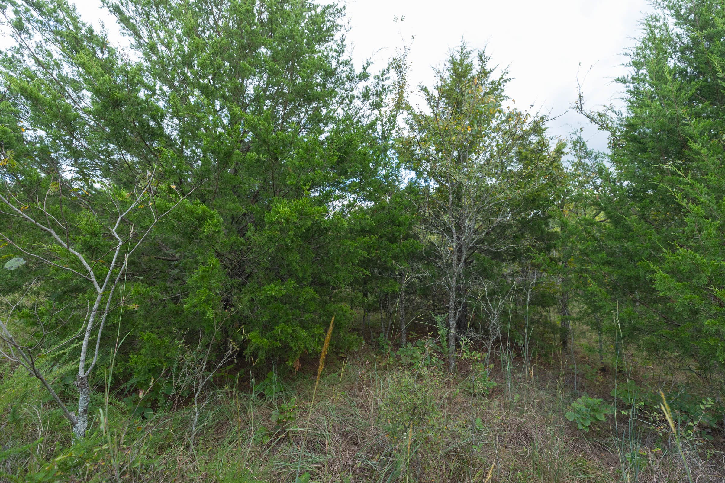 Reserves At Cattail Cove Phase II Tract 97 photo 10
