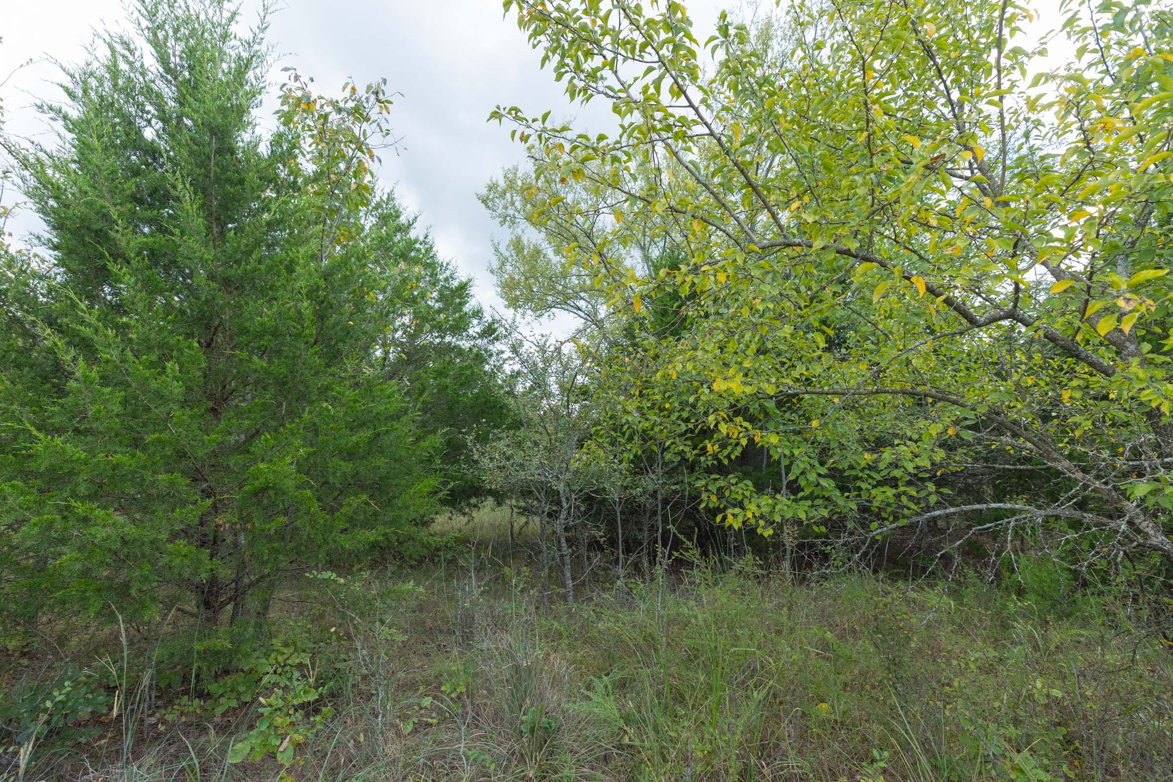 Reserves At Cattail Cove Phase II Tract 97 photo 9