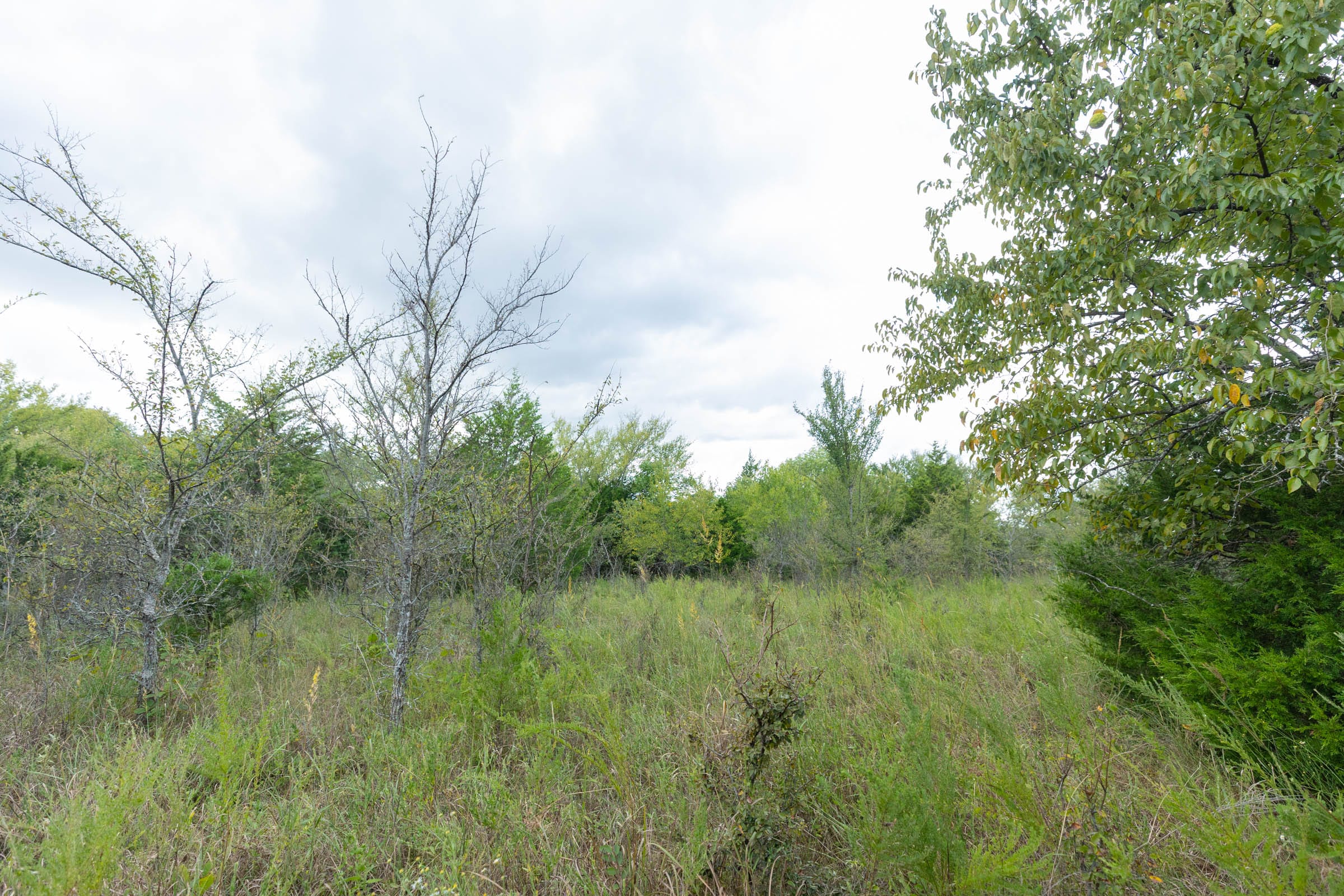 Reserves At Cattail Cove Phase II Tract 97 photo 8