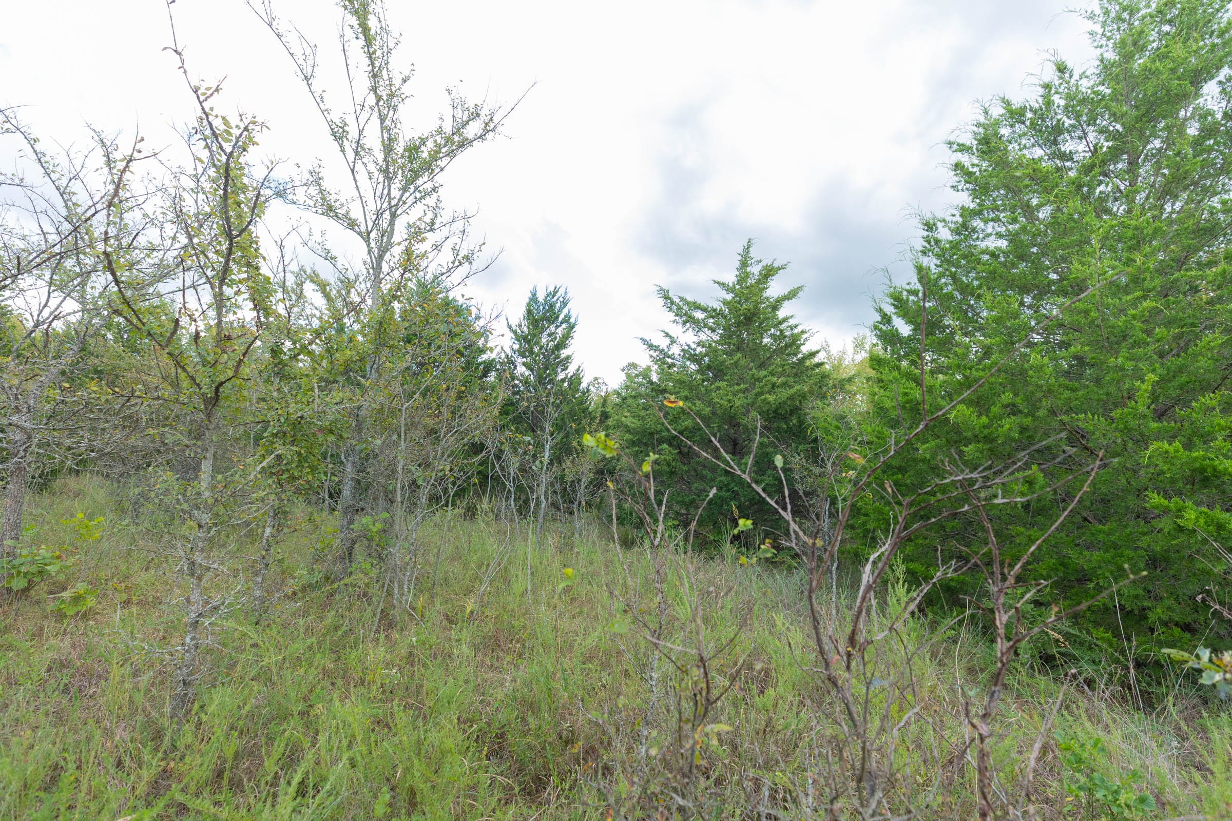 Reserves At Cattail Cove Phase II Tract 97 photo 7