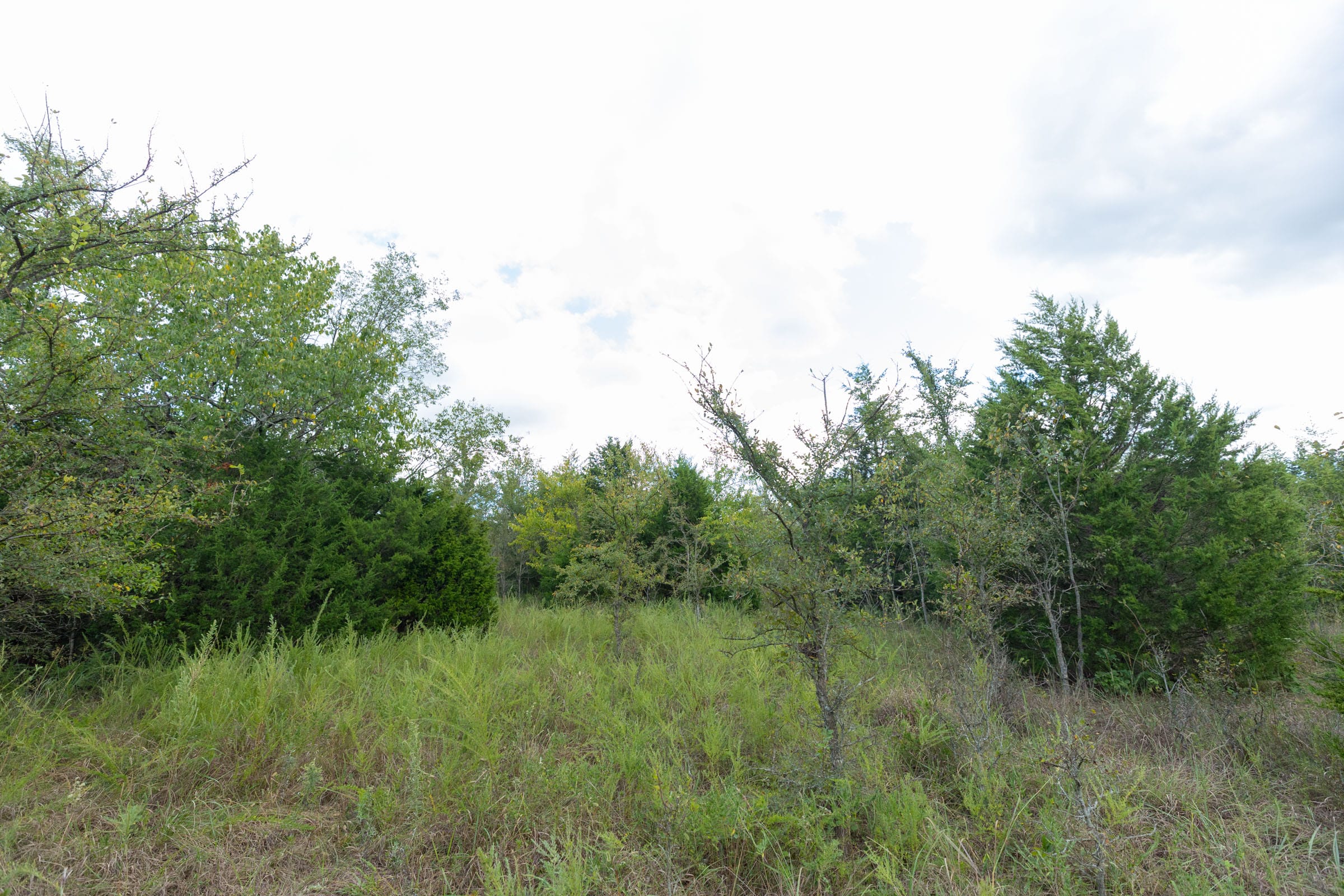 Reserves At Cattail Cove Phase II Tract 97 photo 6