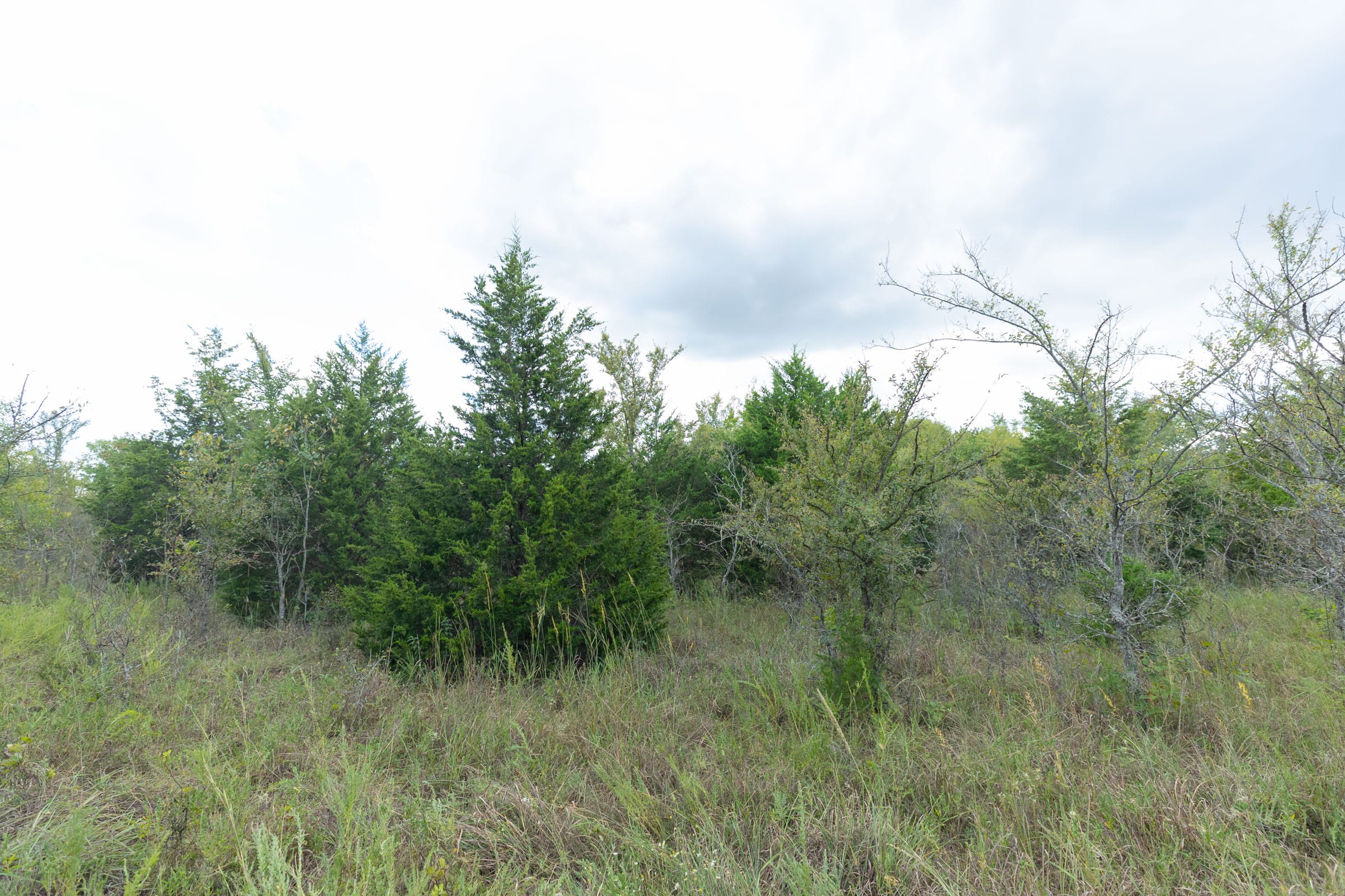 Reserves At Cattail Cove Phase II Tract 97 photo 5