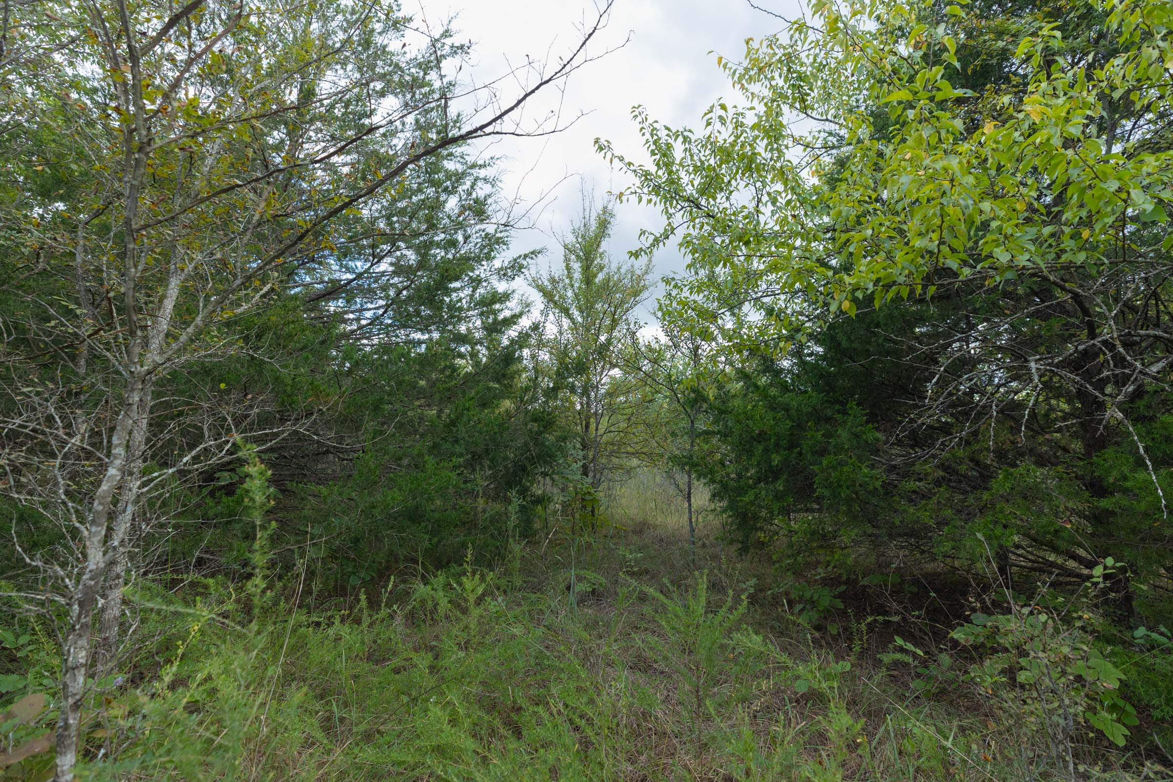 Reserves At Cattail Cove Phase II Tract 97 photo 4