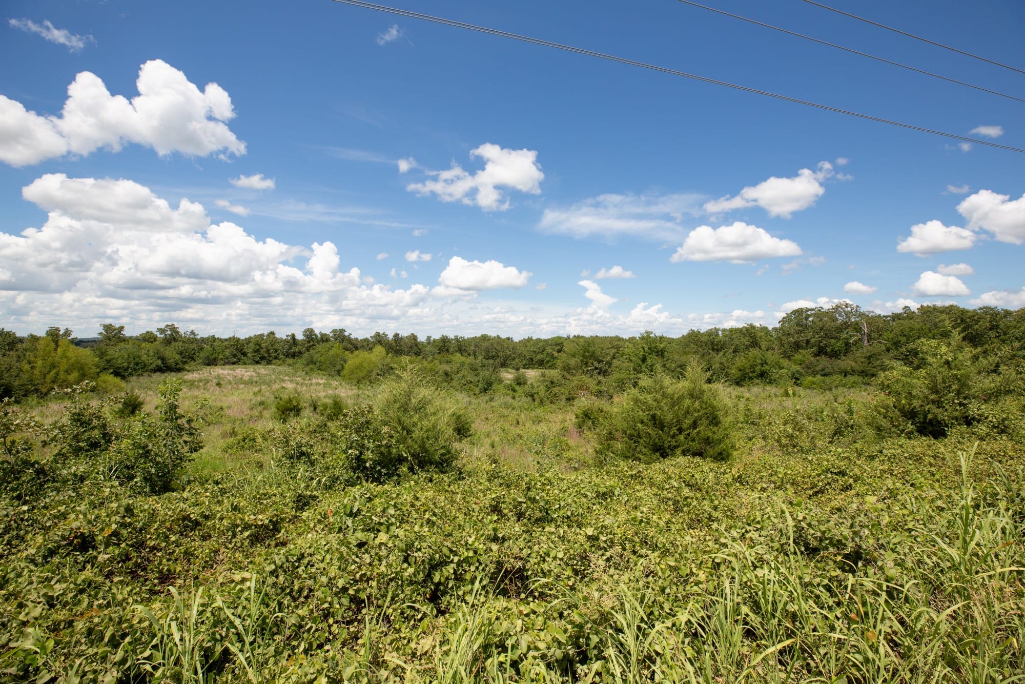 Paradise Valley Tract 26 photo 2