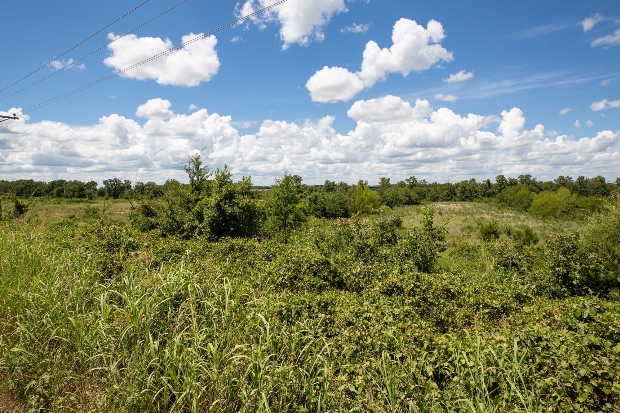 Paradise Valley Tract 26 photo 5