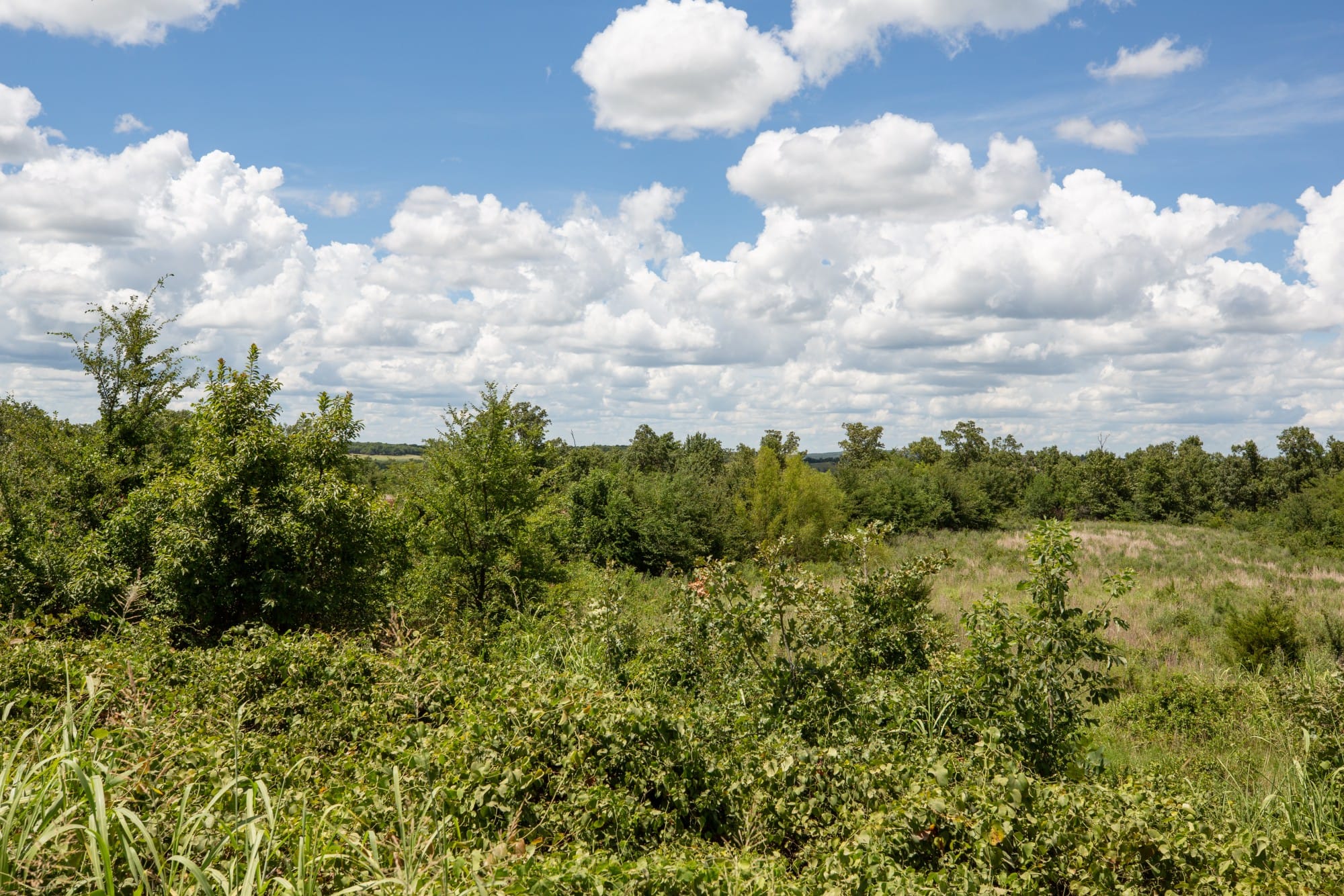 Paradise Valley Tract 26 photo 8