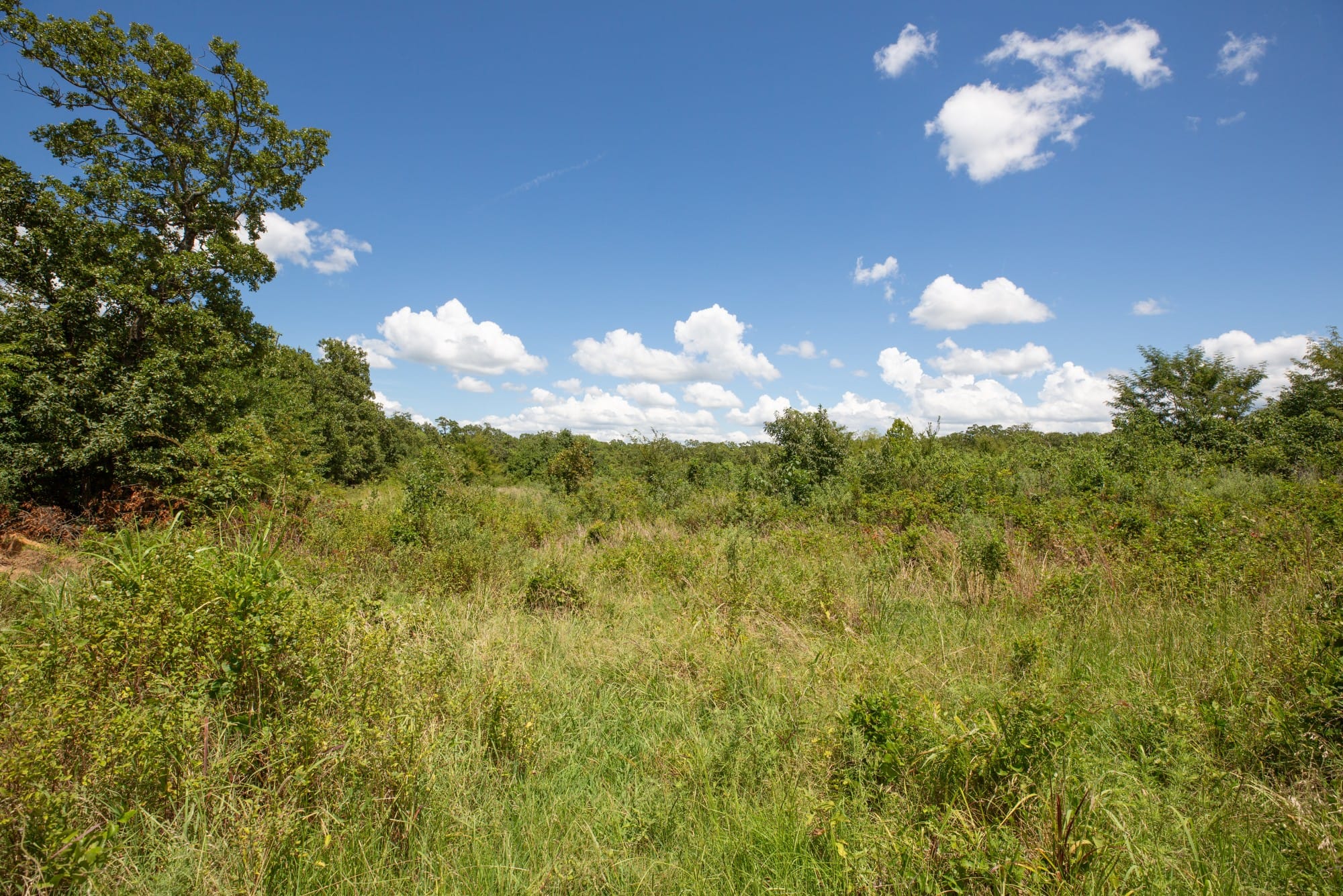 Paradise Valley Tract 26 photo 11