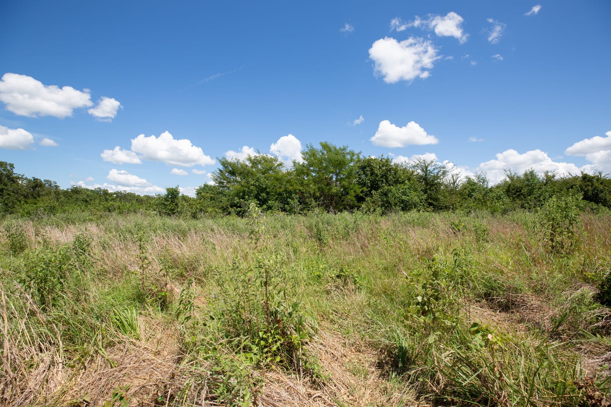 Paradise Valley Tract 26 photo 9