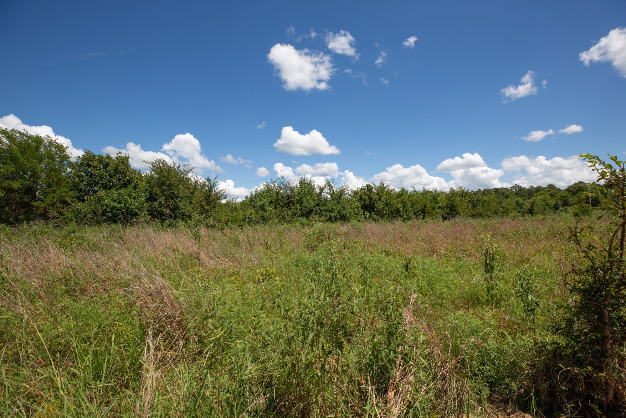Paradise Valley Tract 26 photo 3