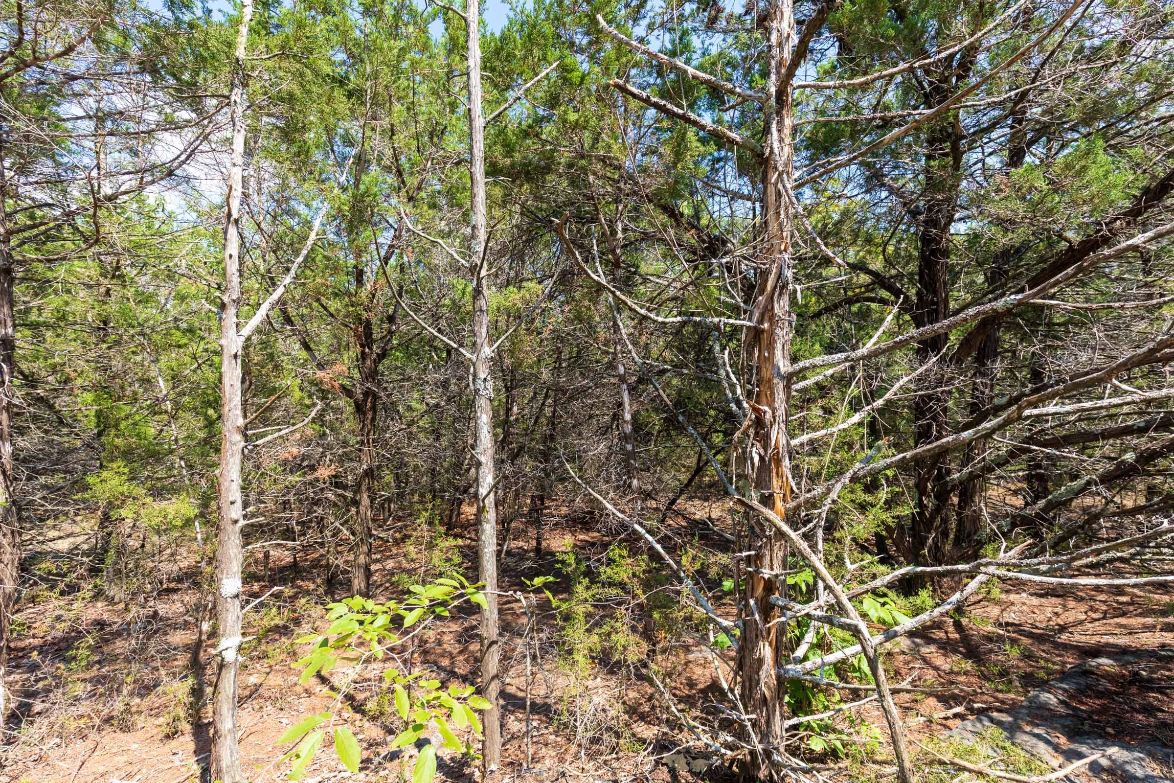 Heritage Bend Tract 33 photo 4