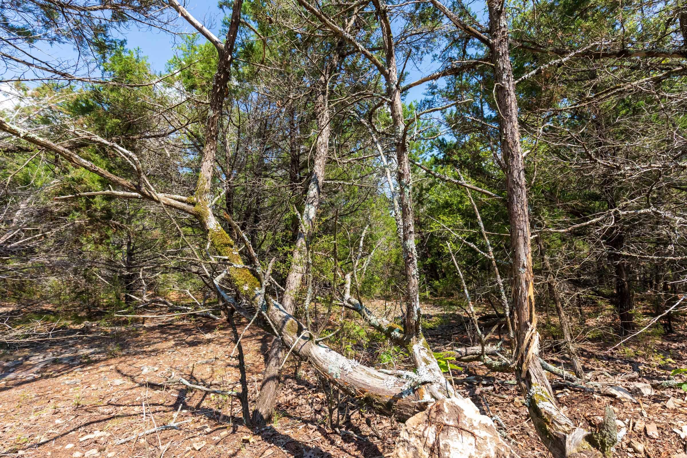 Heritage Bend Tract 33 photo 5