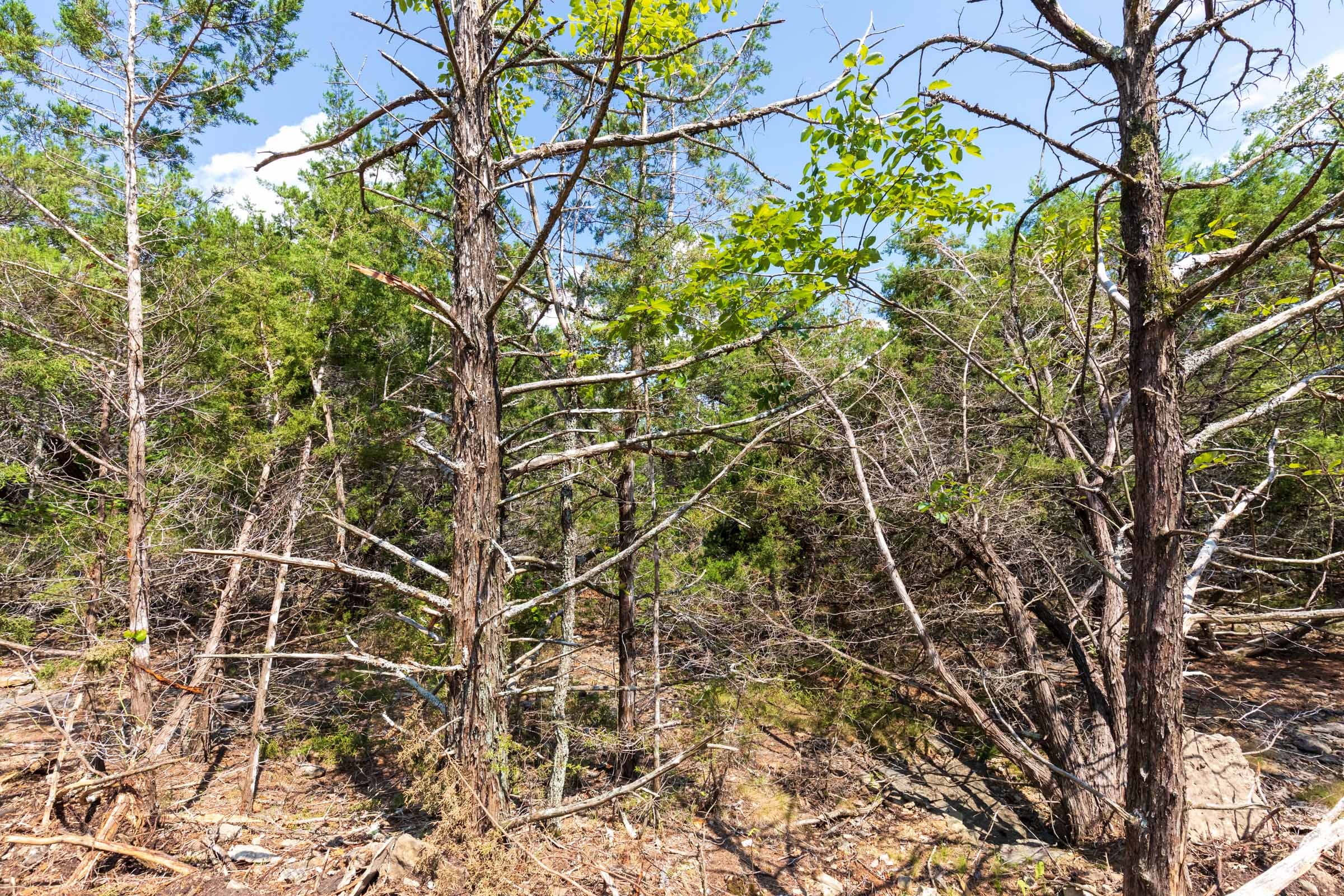 Heritage Bend Tract 33 photo 8