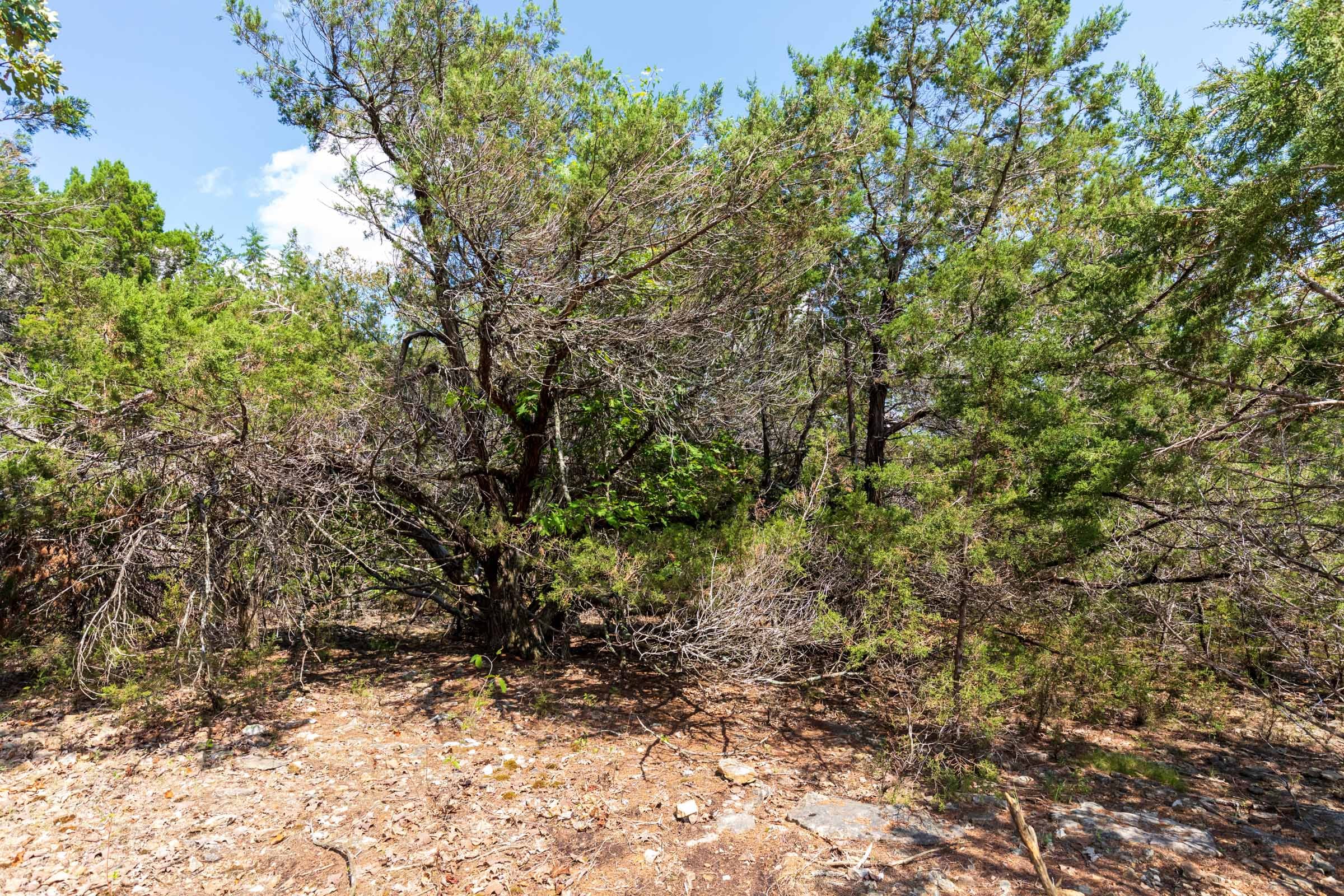Heritage Bend Tract 33 photo 6