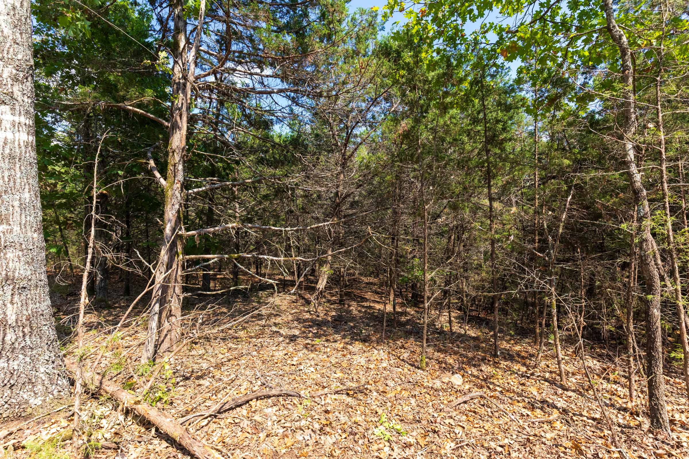 Heritage Bend Tract 33 photo 10