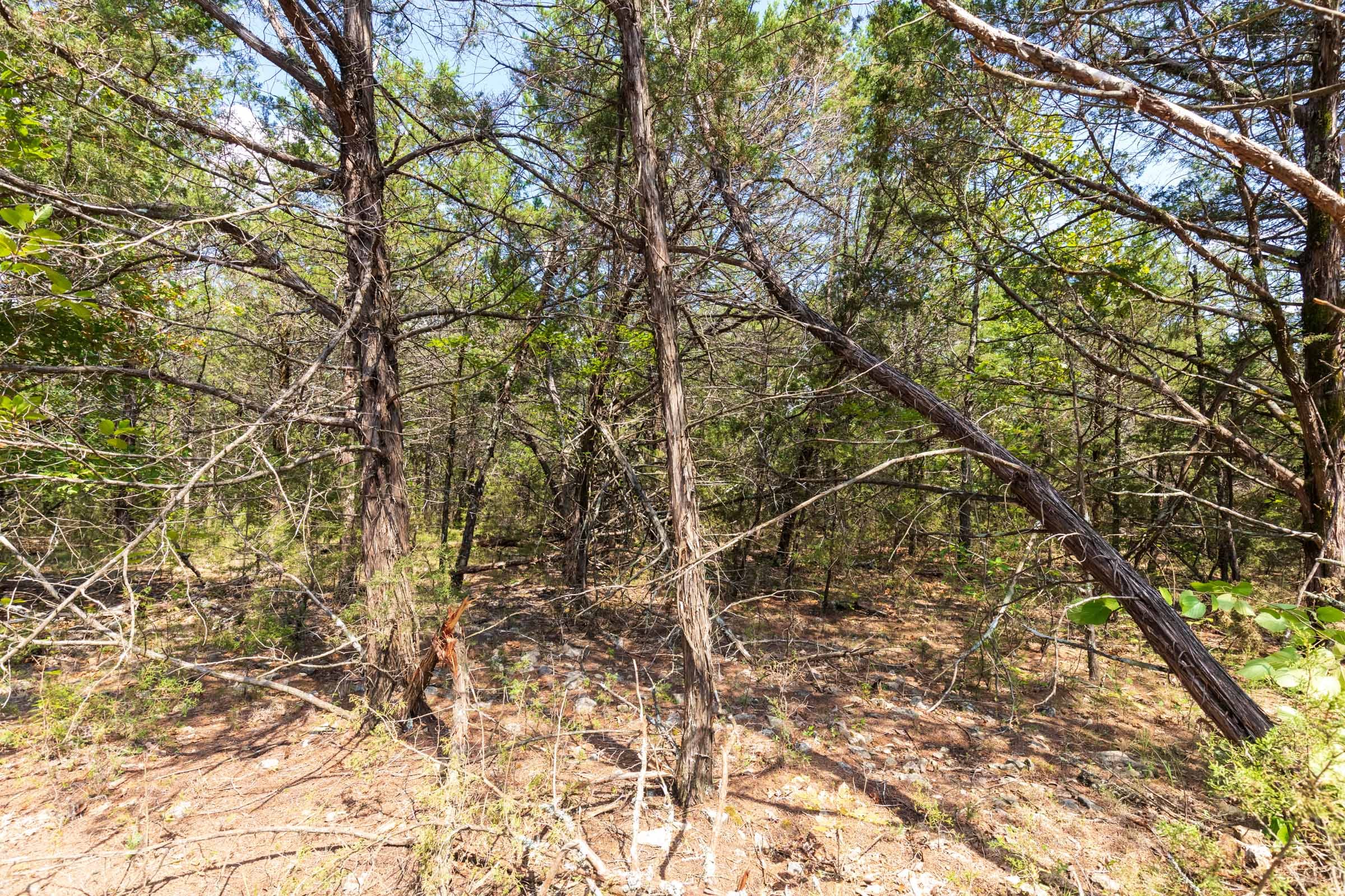 Heritage Bend Tract 33 photo 11