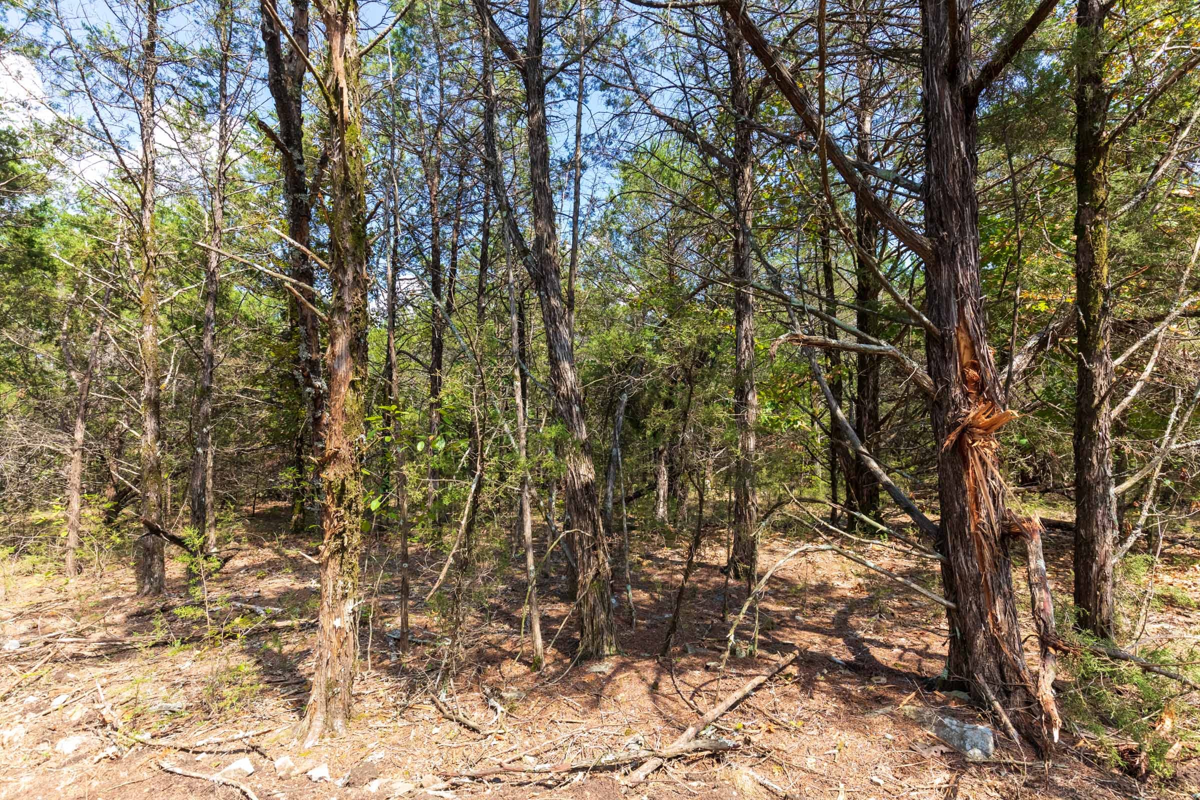 Heritage Bend Tract 33 photo 13