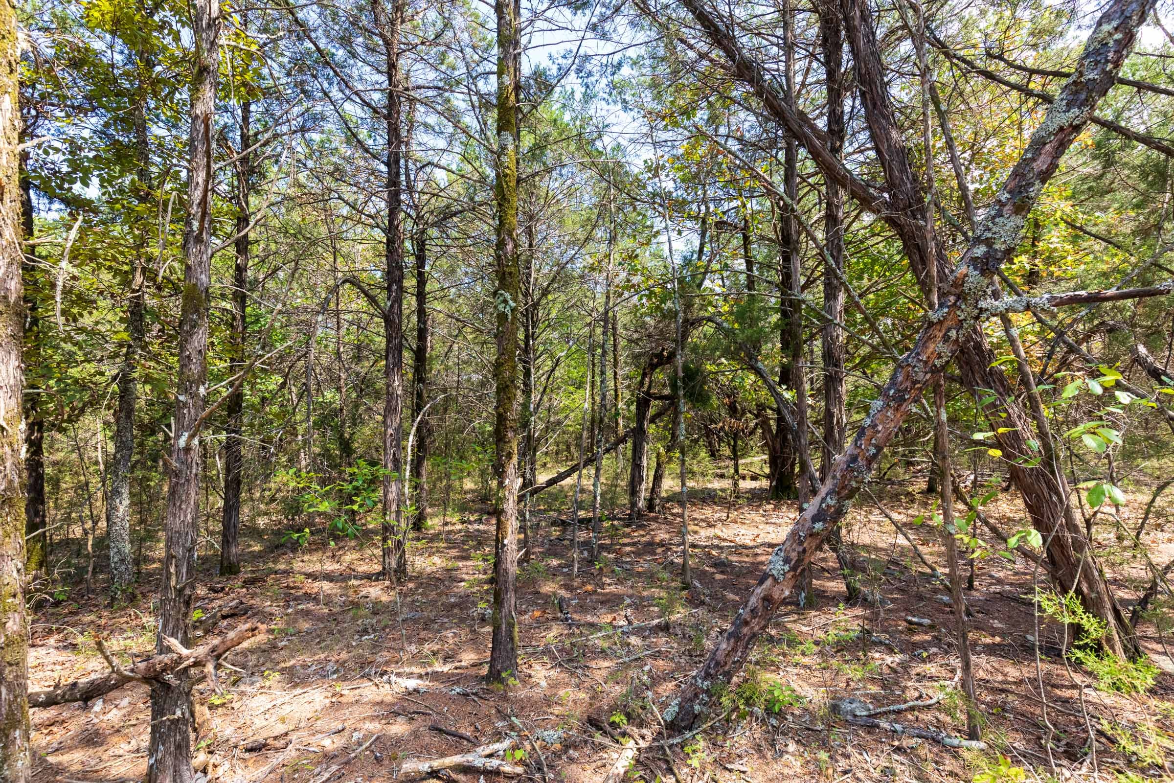 Heritage Bend Tract 33 photo 14