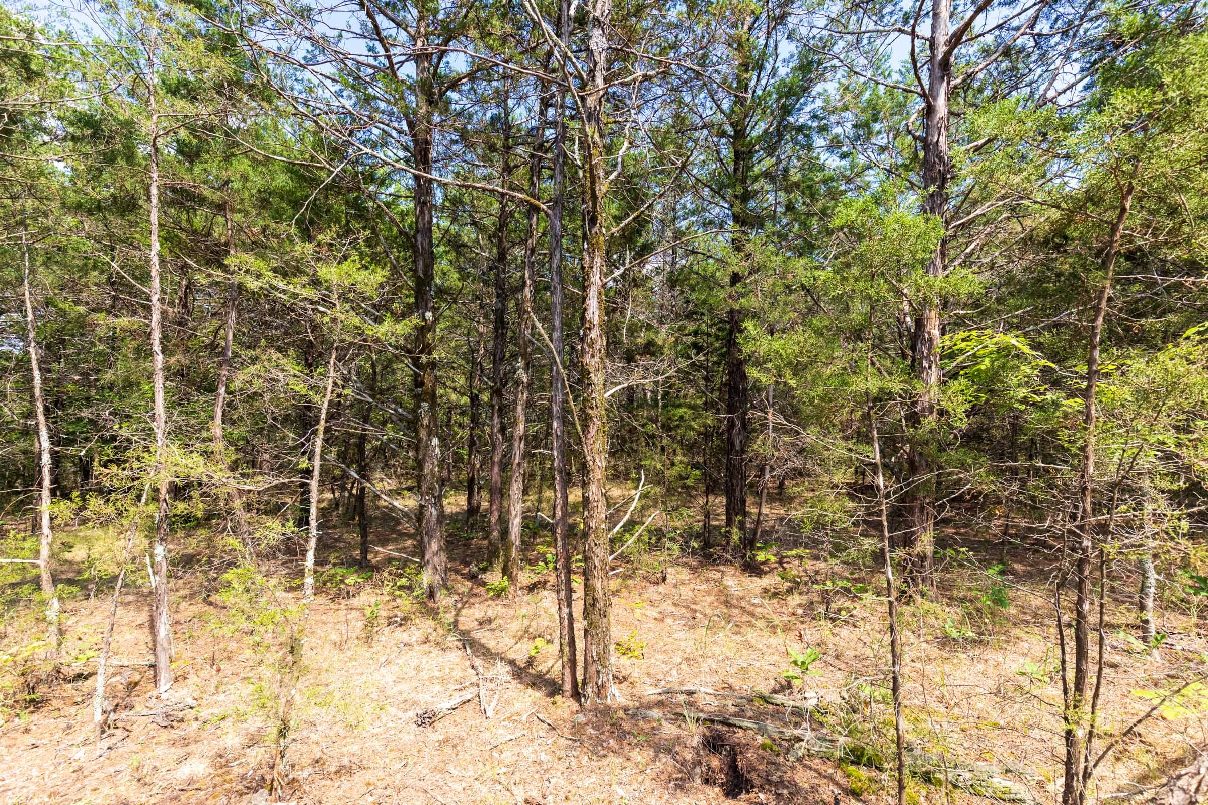 Heritage Bend Tract 33 photo 15