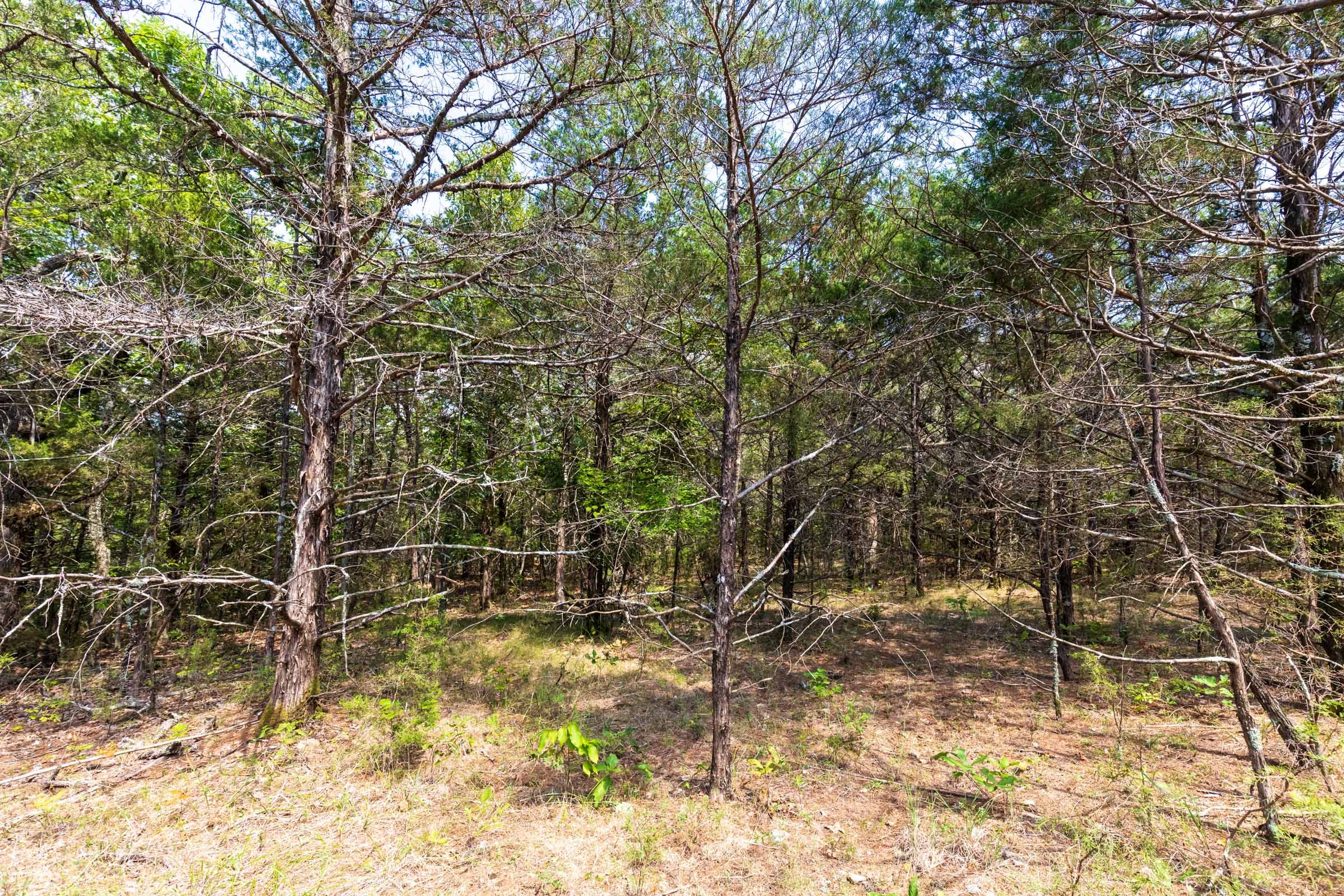 Heritage Bend Tract 33 photo 17