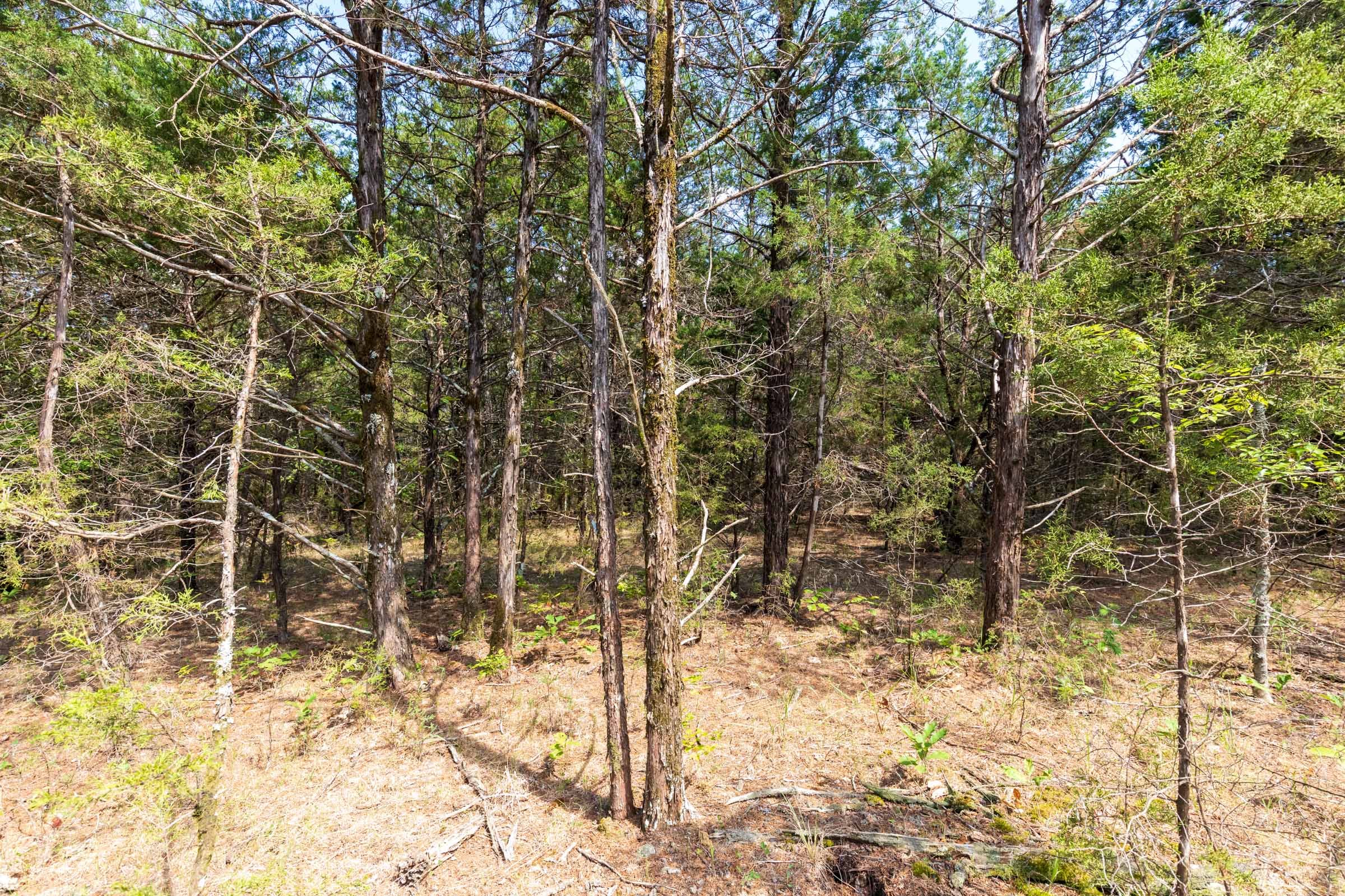 Heritage Bend Tract 33 photo 18