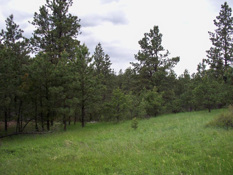 Musselshell County Tract 51 photo 3