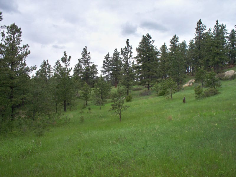 Musselshell County Tract 51 photo 9