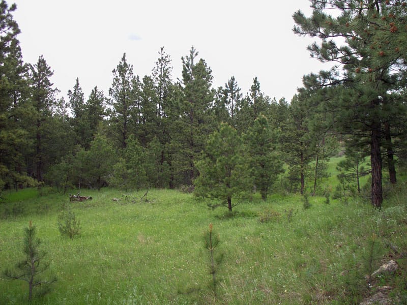 Musselshell County Tract 51 photo 11