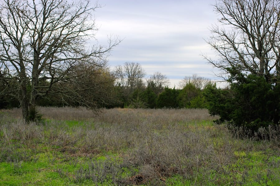 Montgomery Ranch Tract 14 photo 8