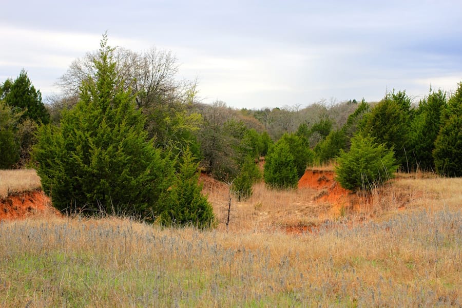 Montgomery Ranch Tract 14 photo 9