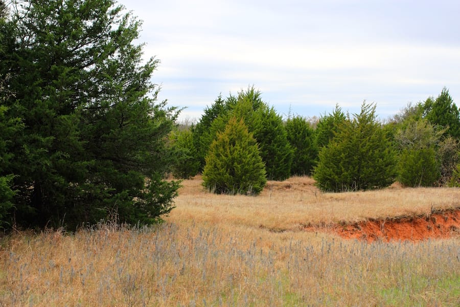 Montgomery Ranch Tract 14 photo 10
