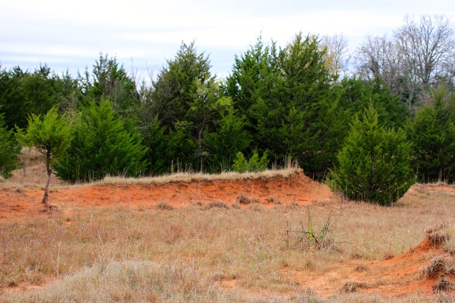 Montgomery Ranch Tract 14 photo 11
