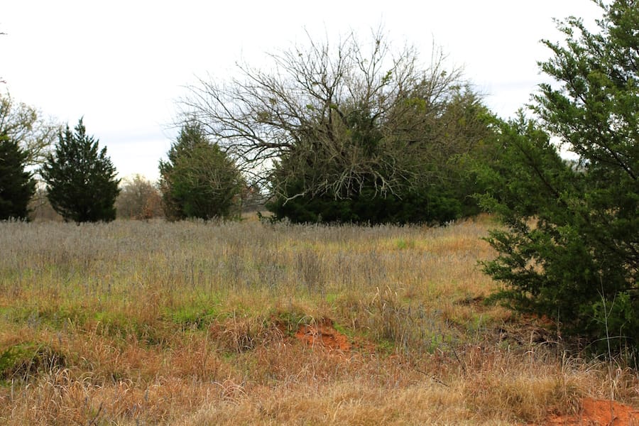 Montgomery Ranch Tract 14 photo 12