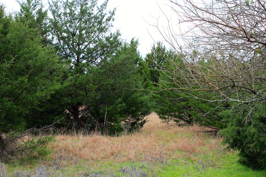 Montgomery Ranch Tract 14 photo 14