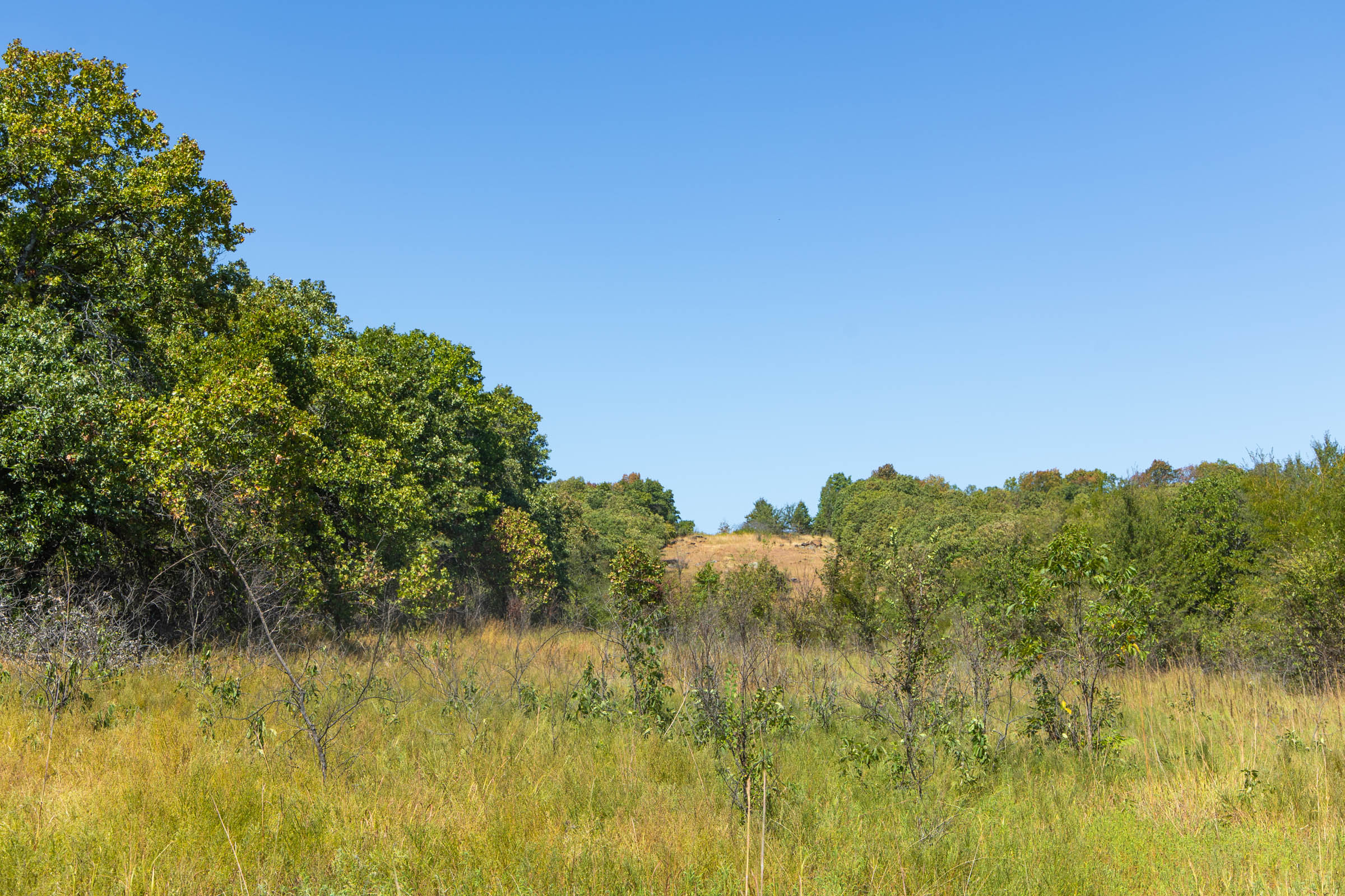 Gracyn Meadows Tract 2 photo 6