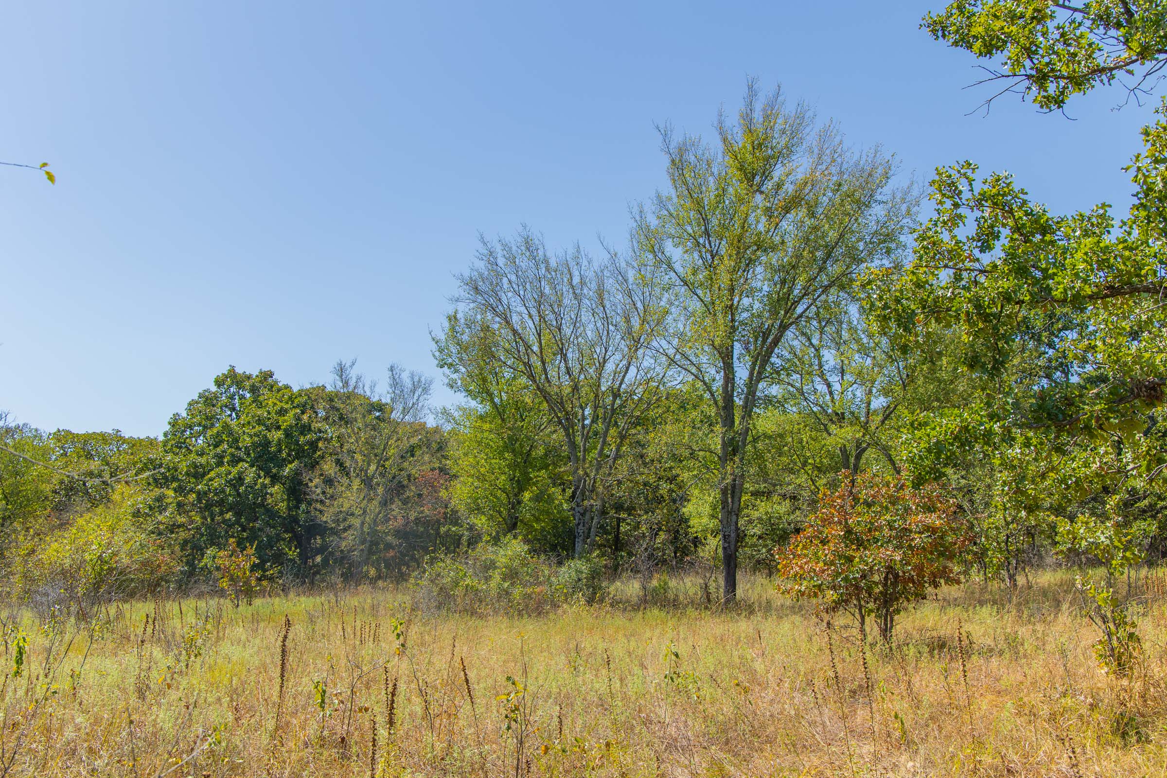 Gracyn Meadows Tract 2 photo 12