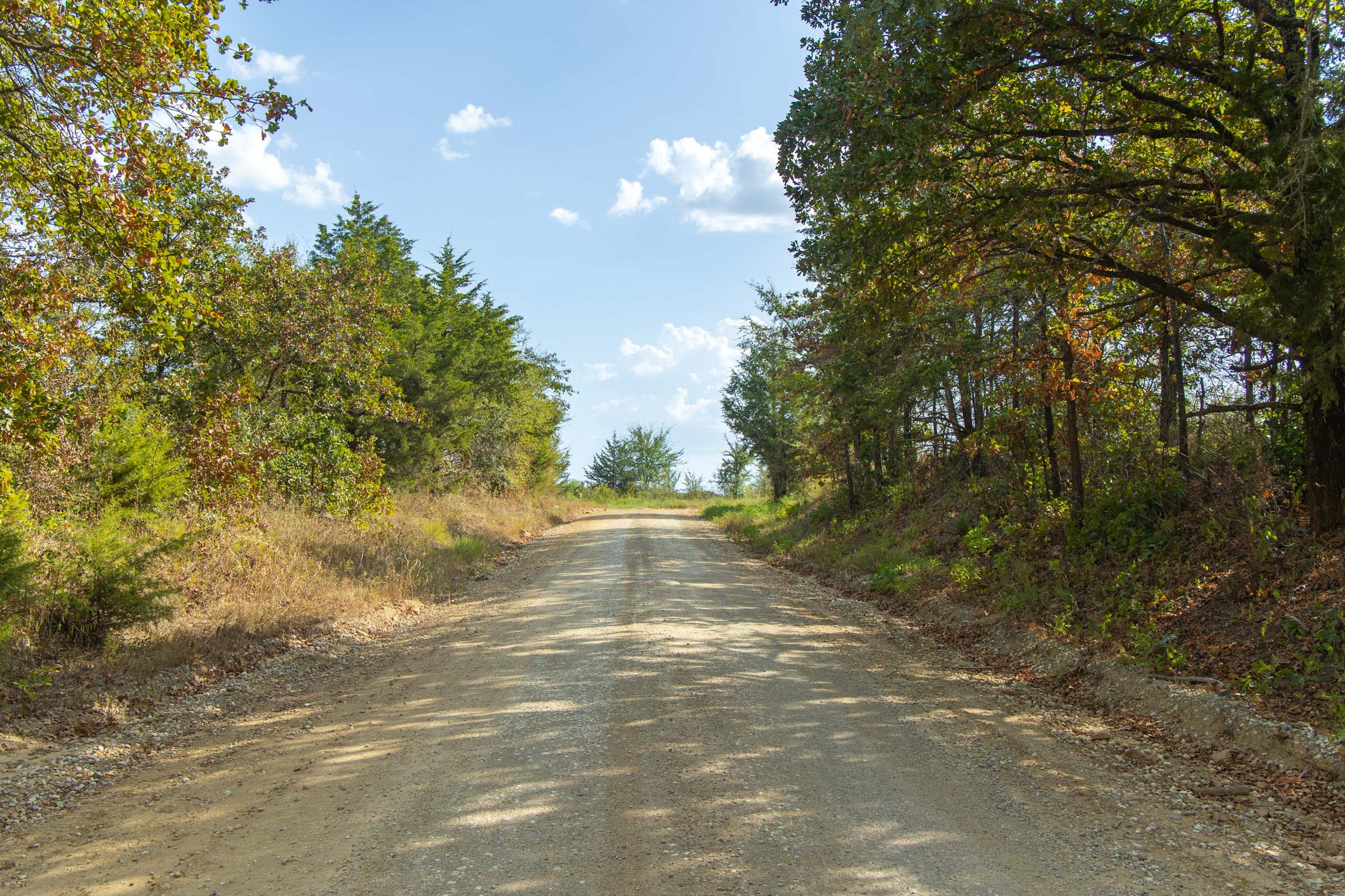 Gracyn Meadows Tract 2 photo 7