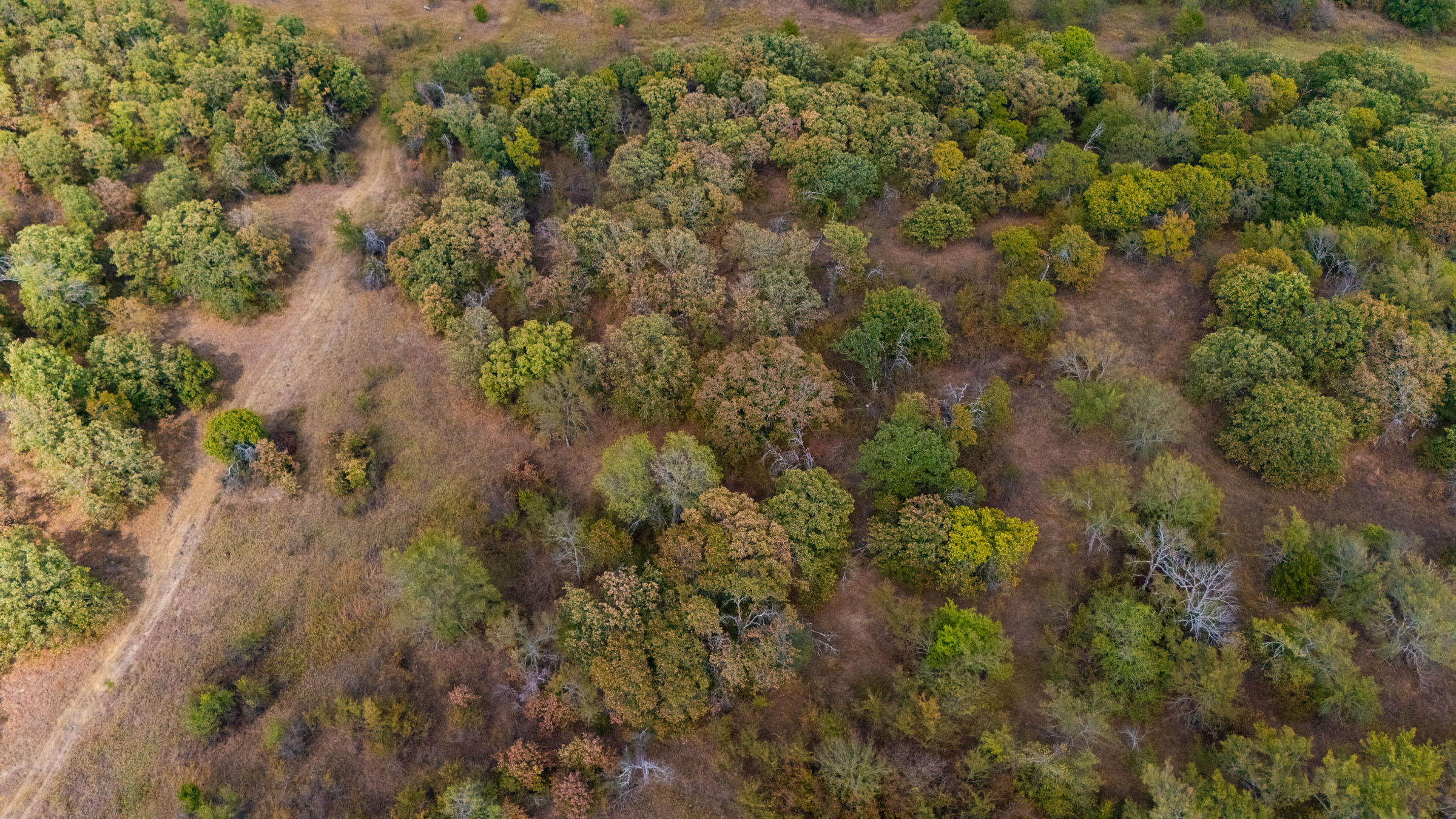 Gracyn Meadows Tract 2 photo 1
